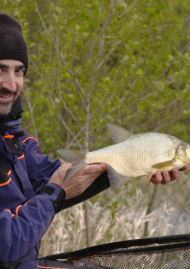 Affiche de Feeder sinon rien