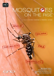 Affiche de Dans l’œil du moustique