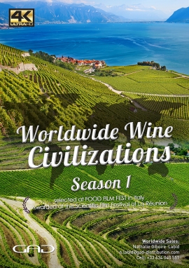 Affiche de Des vignes et des hommes - saison 1