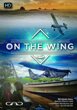 Poster of On the wing