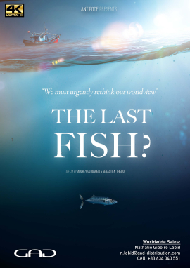 Affiche de Quels poissons pour demain ?