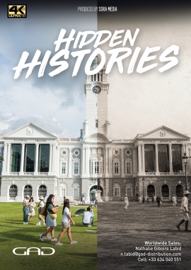 Poster of Hidden Histories - Monuments of Memory