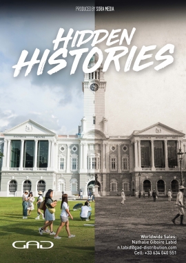 Poster of Hidden Histories - Monuments of Memory