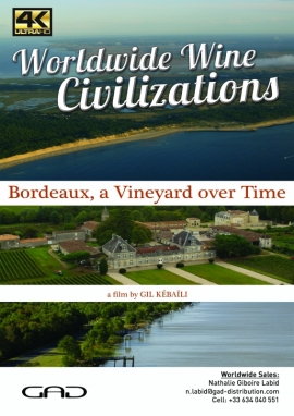 Affiche de Bordeaux, un vignoble au fil de l’eau (France)